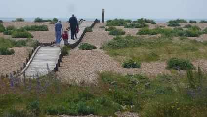 Walkers on a boardwalk across the shingle at Dungeness